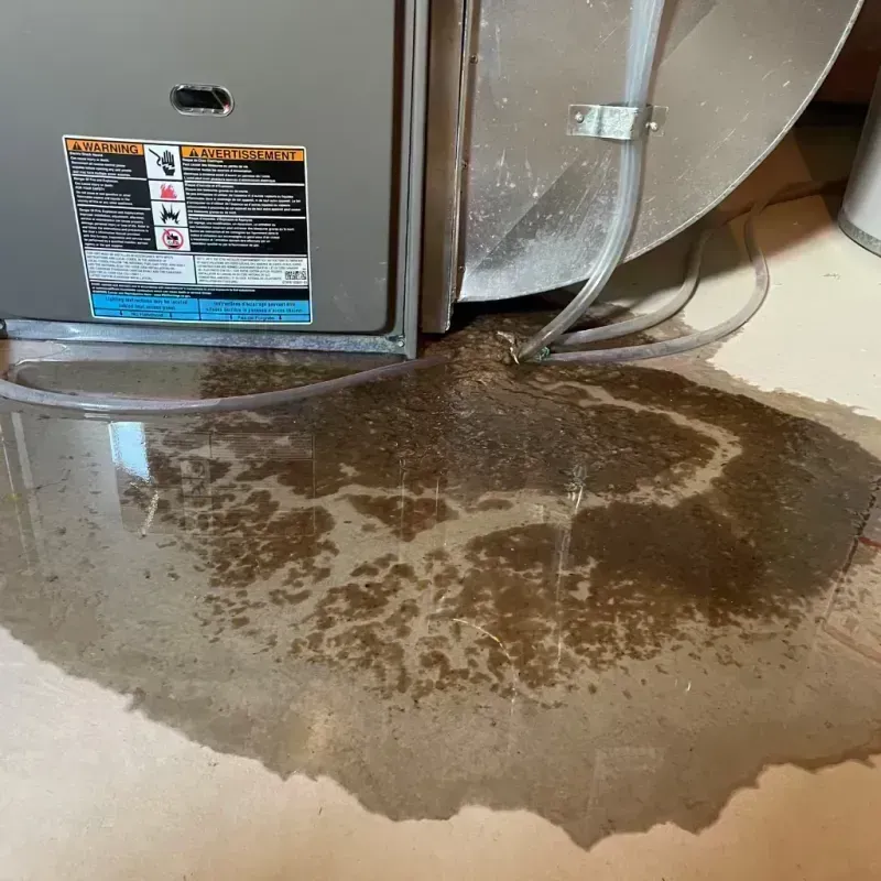 Appliance Leak Cleanup in Oatfield, OR